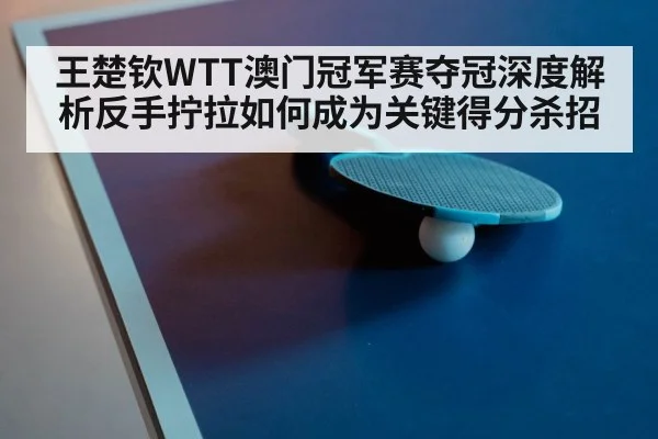 王楚钦WTT澳门冠军赛夺冠深度解析反手拧拉如何成为关键得分杀招