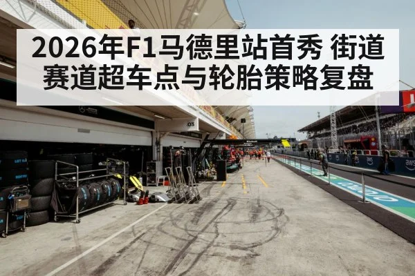 Formula 1 tire strategy pit stop